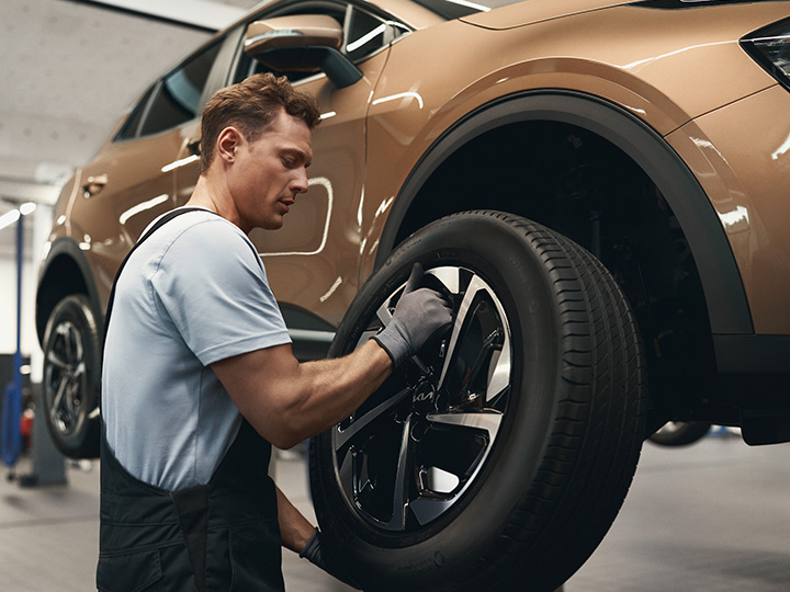 Kia Service- individuelle Wartung