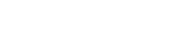 Electric Mobility