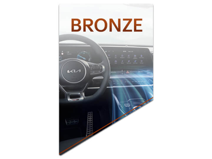 Bronze – disinfectant deep clean