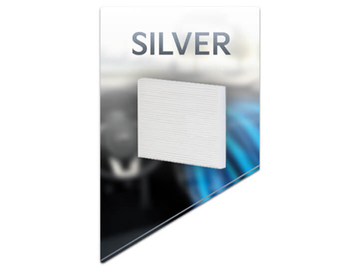 Silver – disinfectant deep clean and cabin air filter replacement