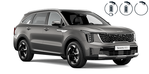 PV5 Passenger 5 Seater