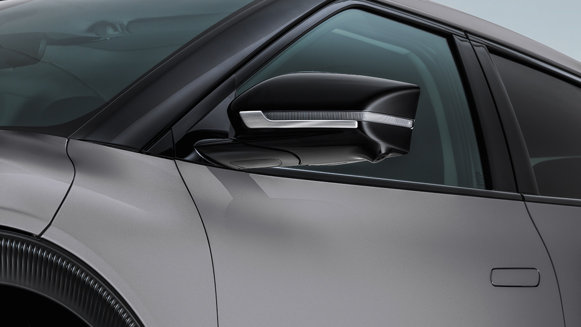 Door mirror trims