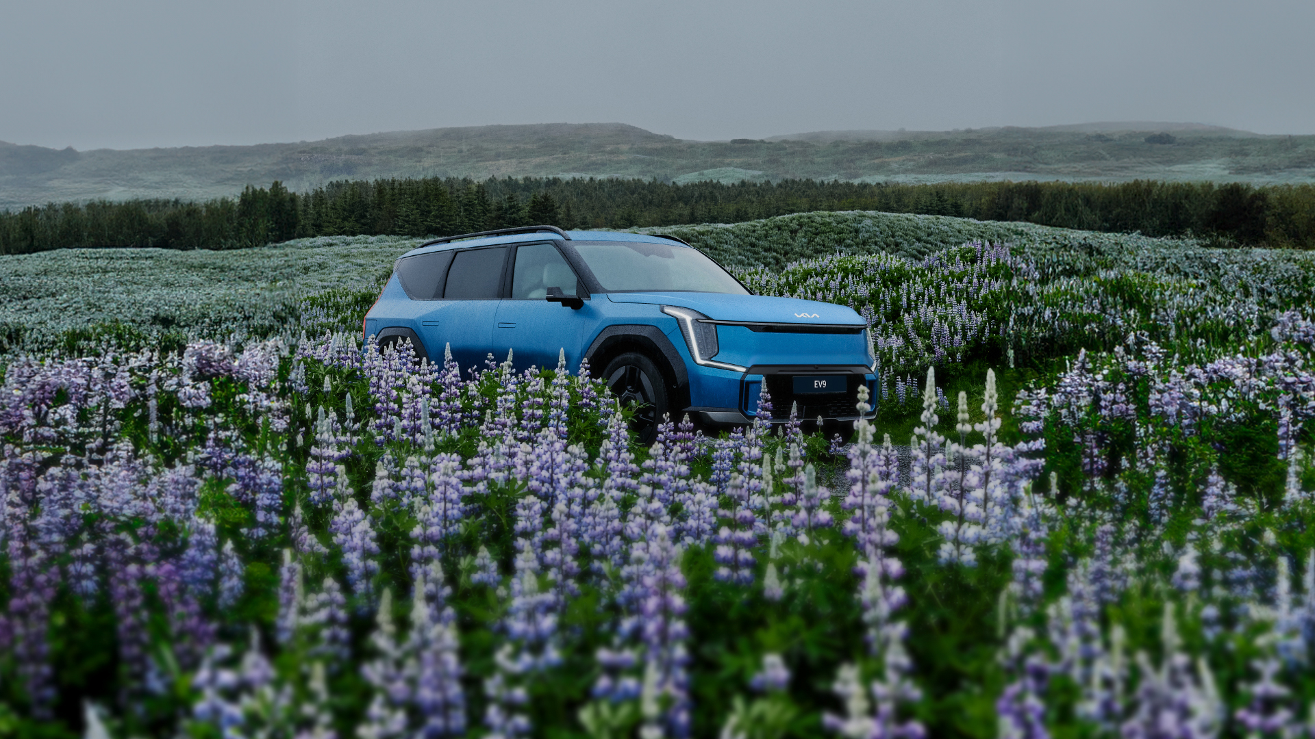 EV9-Kia-Ísland