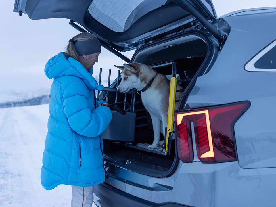 Kia Sorento i vinterlandskap med hundbur installerad i bagageutrymmet
